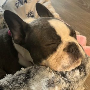 Meet your Posher, Macy